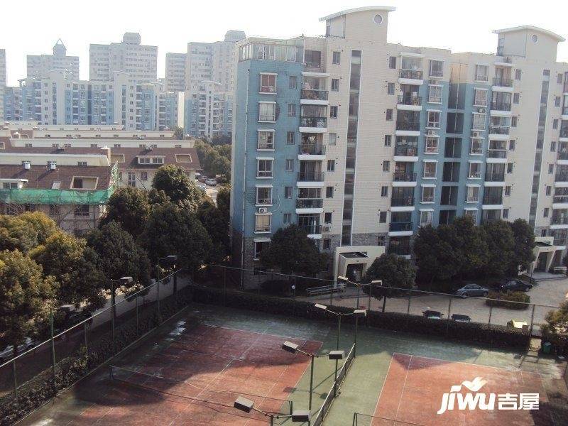 中星雪野家园实景图图片