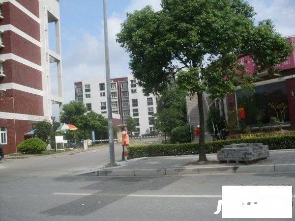 中芯花园三期实景图图片