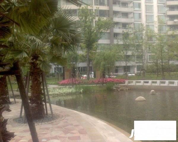 香梅花园三期实景图图片