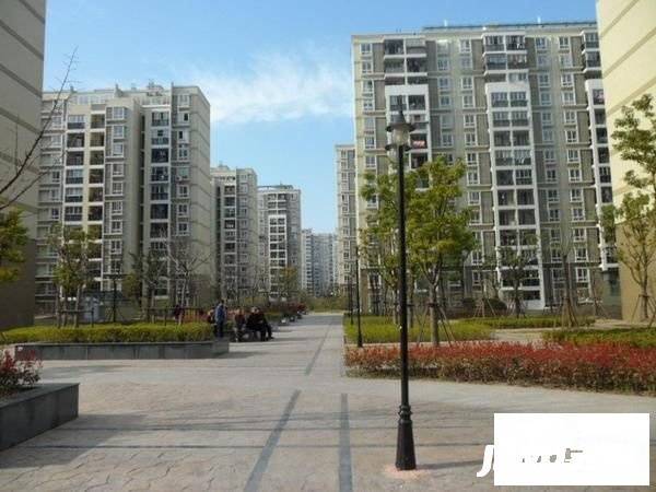 高行绿洲实景图图片