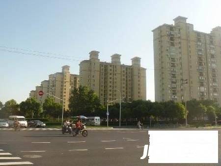 高行绿洲实景图图片
