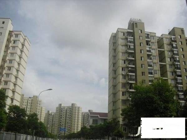 高行绿洲实景图图片