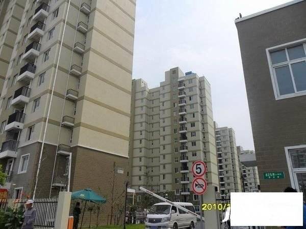 高行绿洲实景图图片