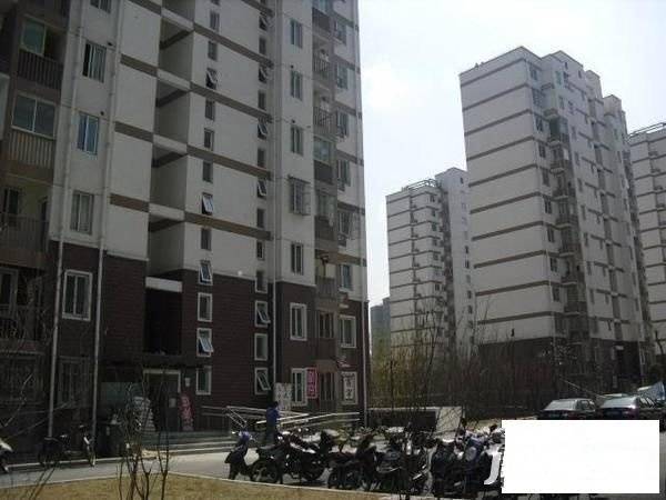 高行绿洲实景图图片