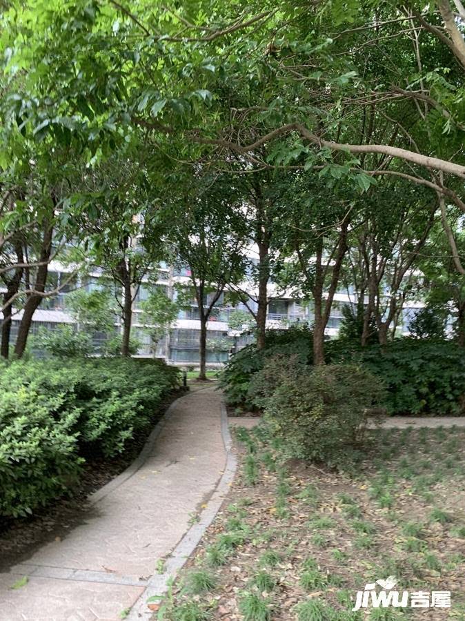 莘映象实景图图片