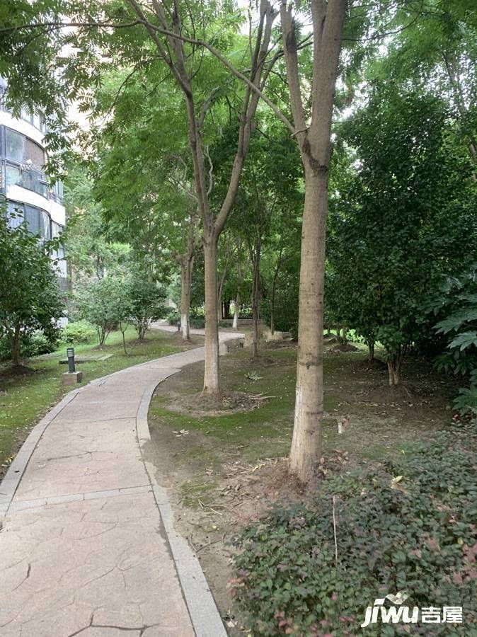 莘映象实景图图片