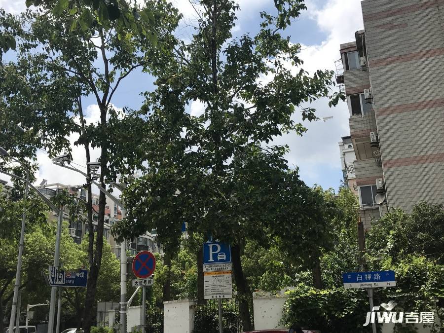 龙柏金悦公寓实景图图片