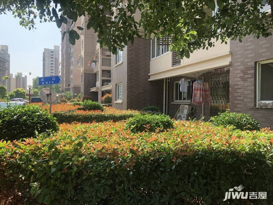 聚缘南庭(闵行)实景图图片