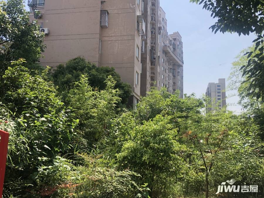 聚缘南庭(闵行)实景图图片