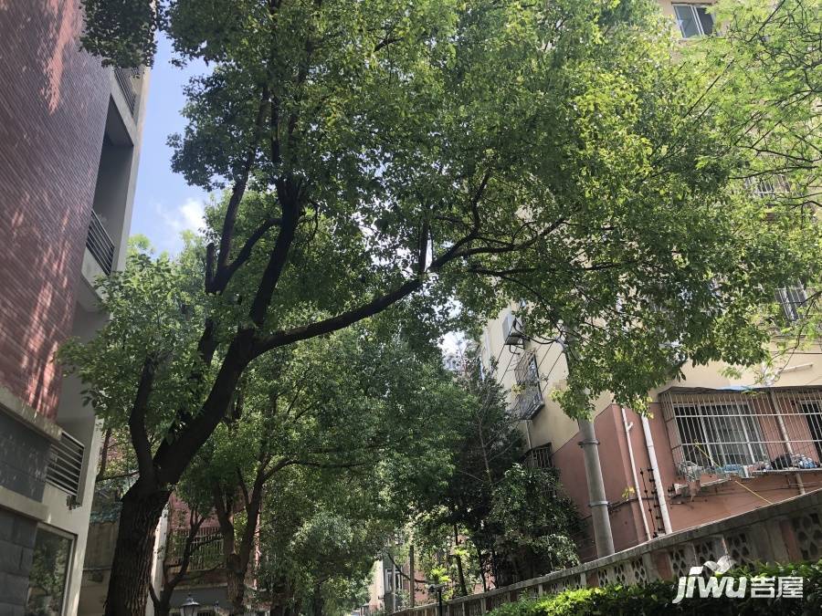富林苑一期实景图图片