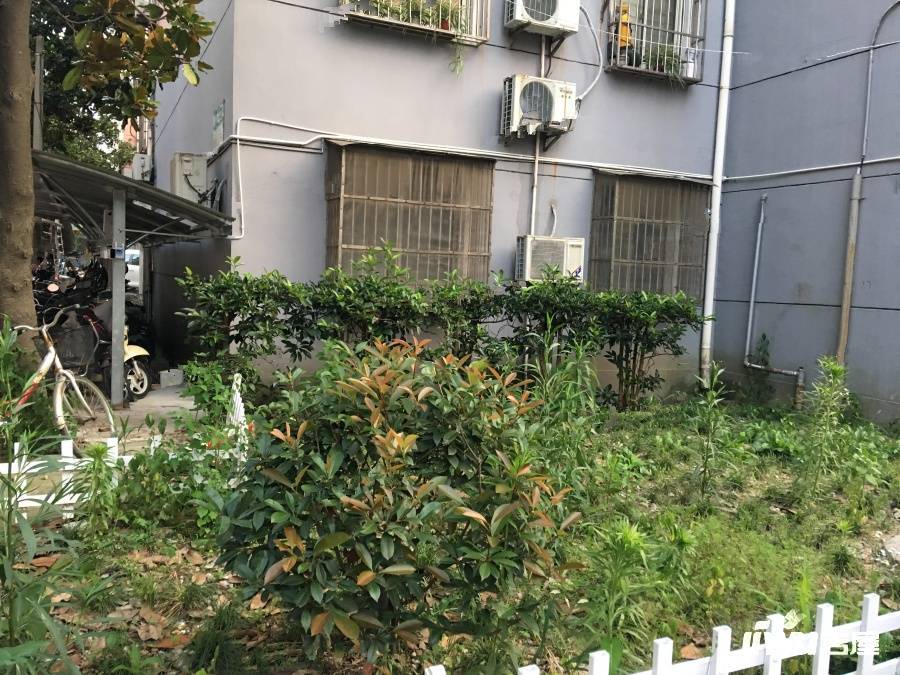 蔷薇新村实景图图片