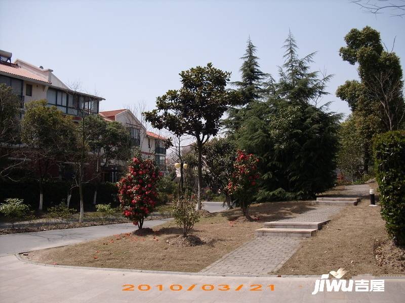 阳光欧洲城四期实景图图片