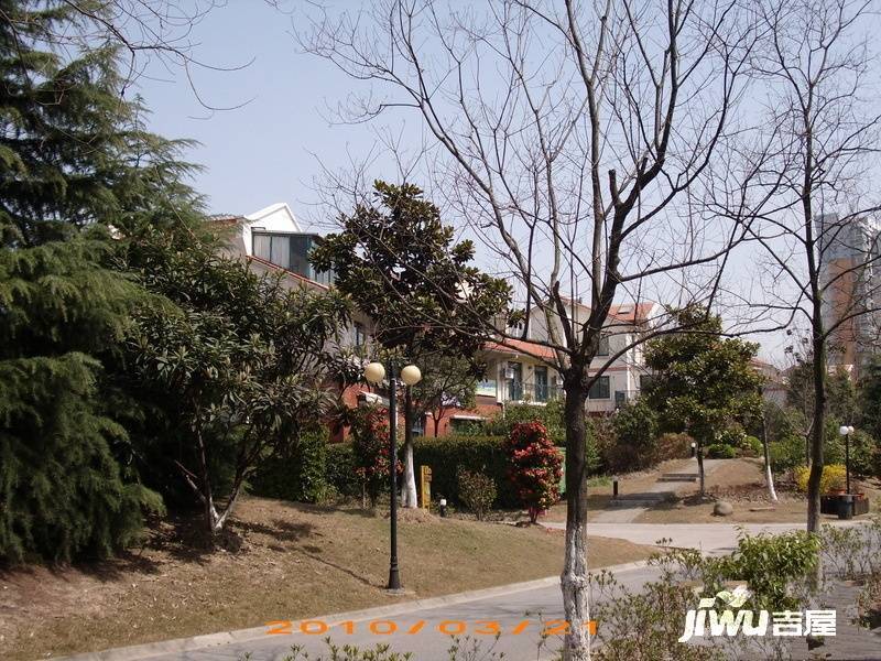 阳光欧洲城四期实景图图片