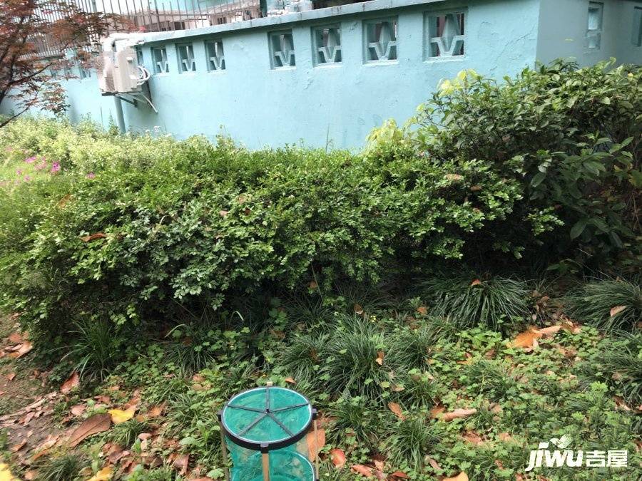 绿梅公寓(莘庄)实景图图片