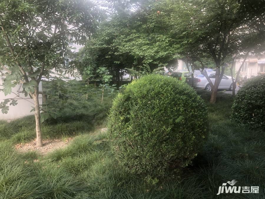 丽景小区实景图图片