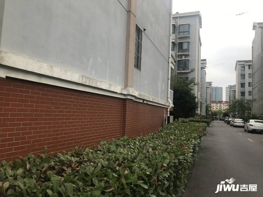 树园新村实景图图片