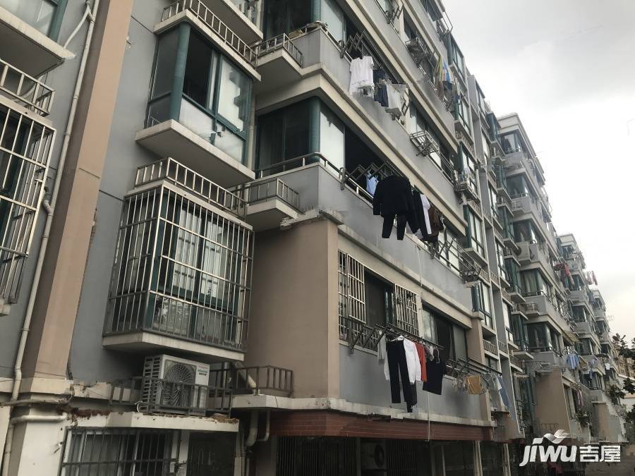 树园新村实景图图片