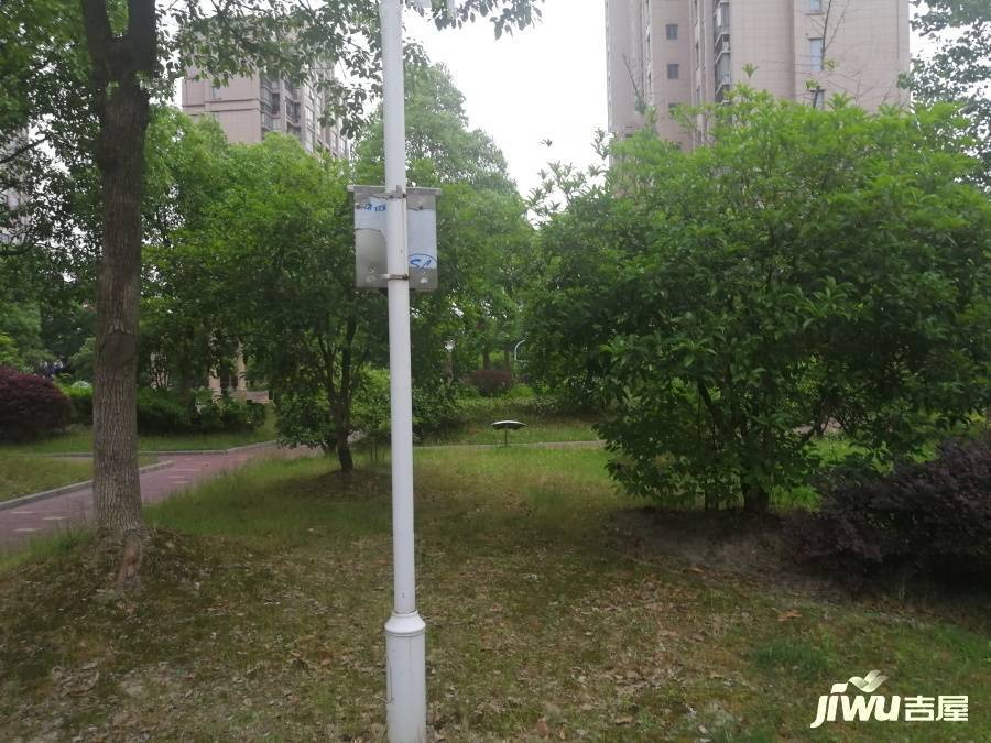招商南桥1号实景图图片