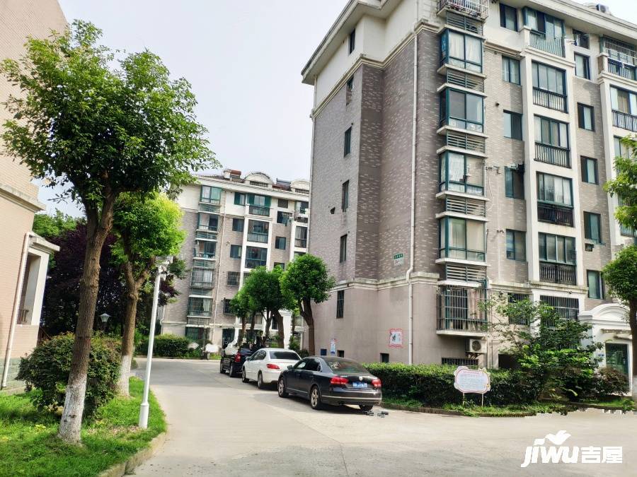 澳洲国际实景图图片