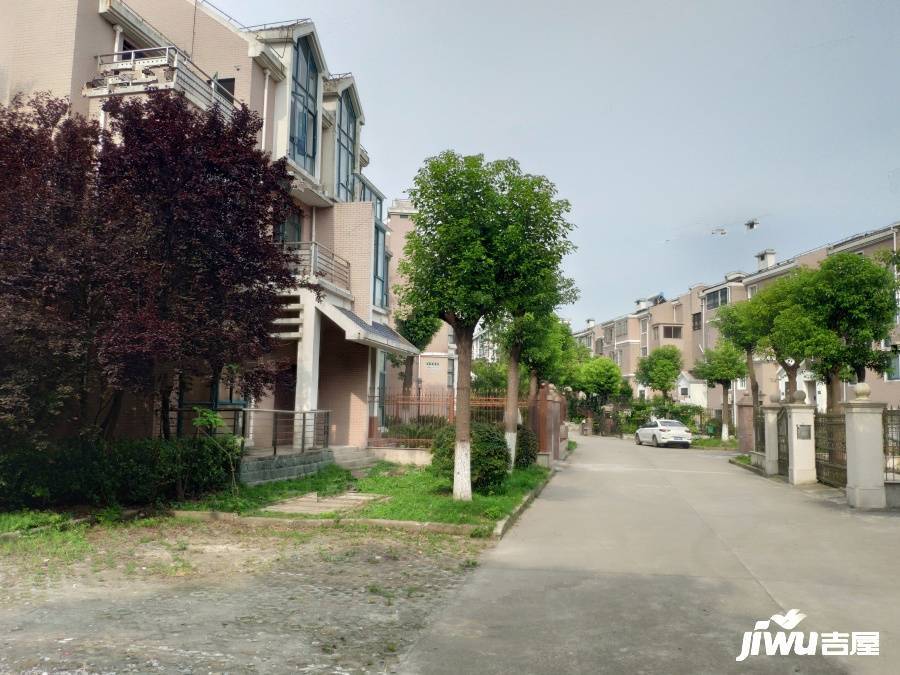 澳洲国际实景图图片