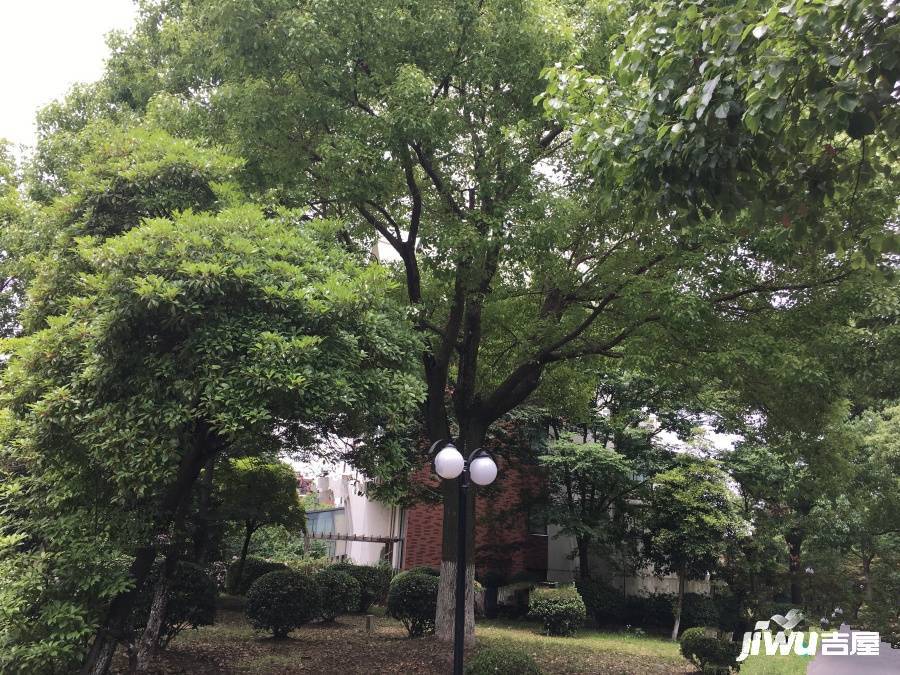 风信景苑实景图图片