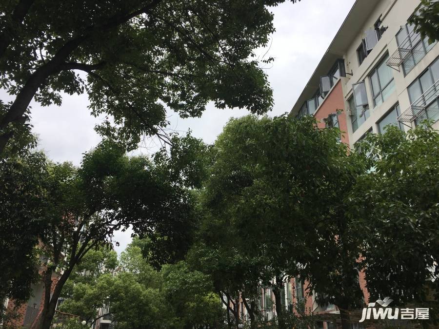 风信景苑实景图图片
