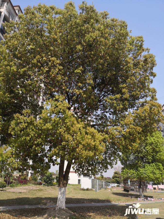 文怡苑实景图图片