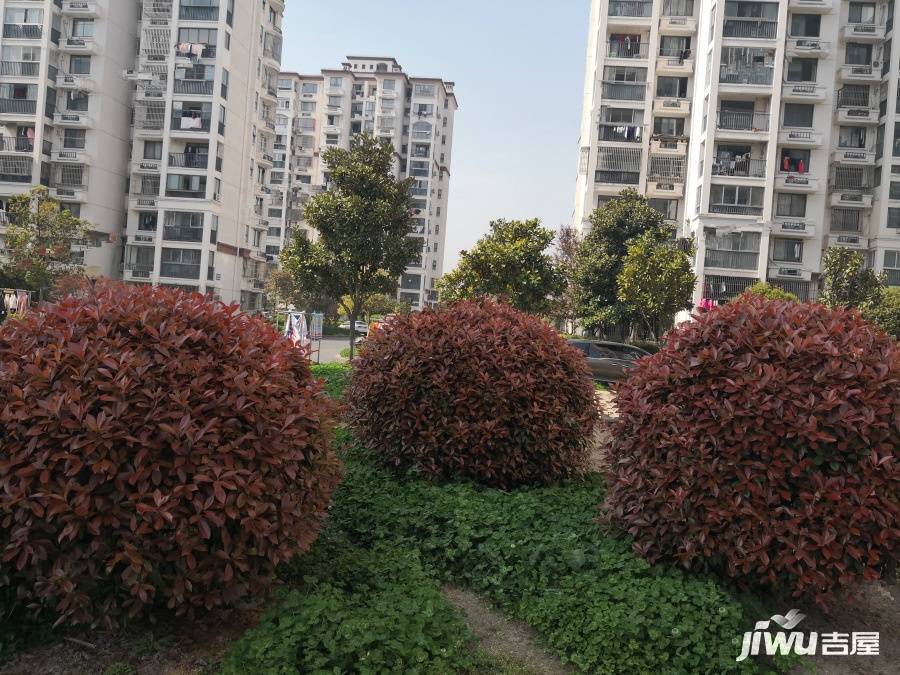 文怡苑实景图图片