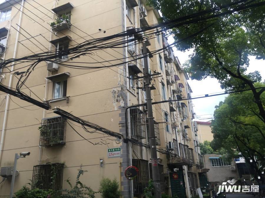 浦三小区金桥实景图图片