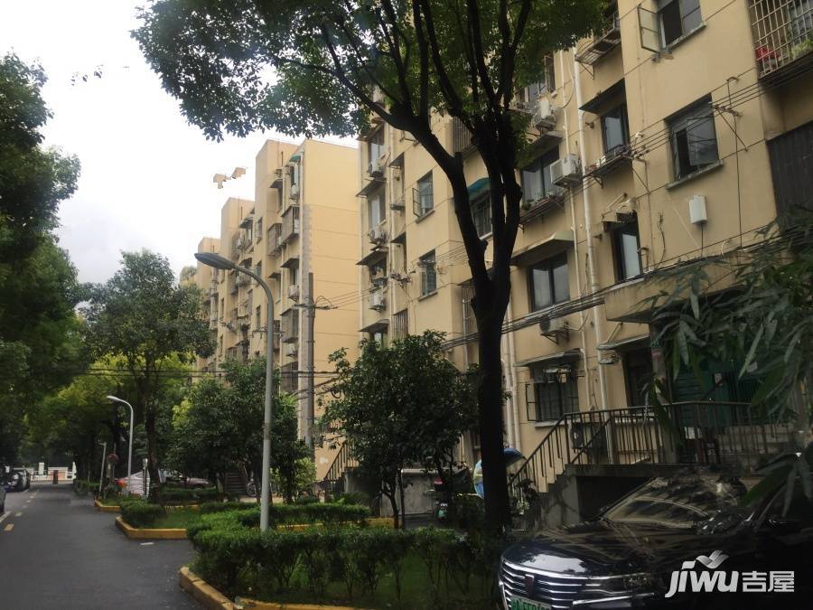 浦三小区金桥实景图图片