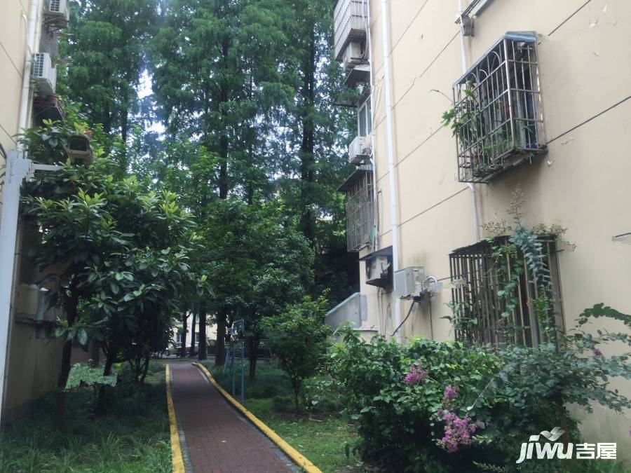 浦三小区金桥实景图图片