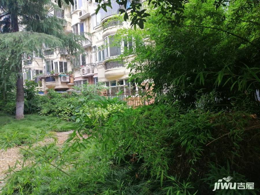 新世纪花苑二期实景图图片