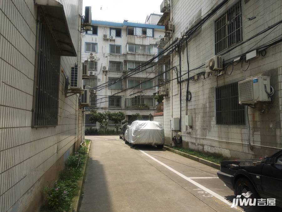 川沙桃园新村实景图图片