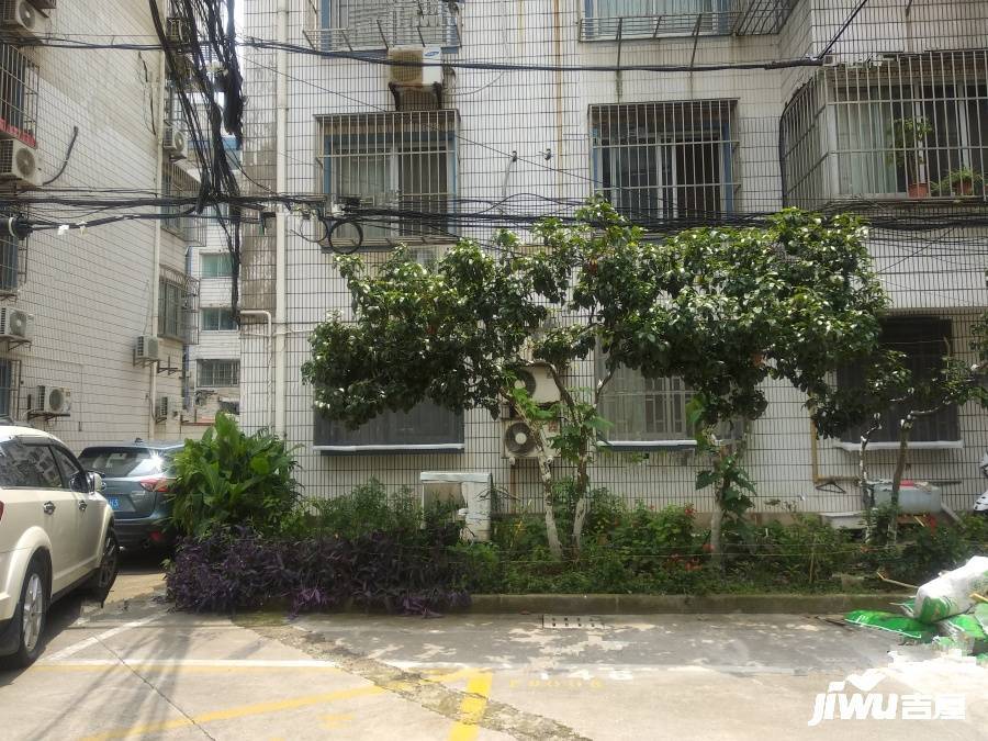 川沙桃园新村实景图图片