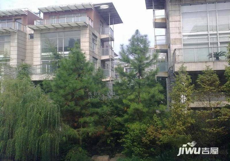 汤臣豪园一期实景图图片