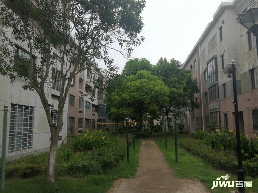 绿地临港家园实景图图片