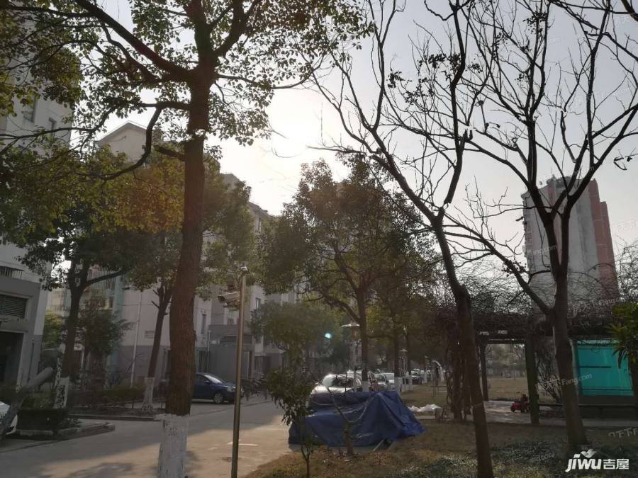 川杨新苑南区实景图图片