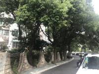 海光大楼实景图10