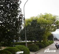 郑桥锦园实景图图片