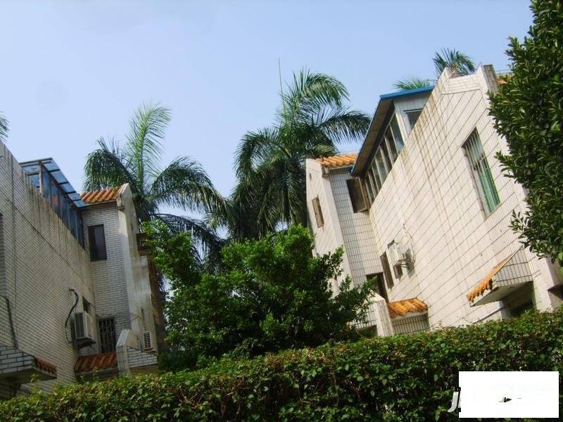 华侨新村(南山)实景图图片