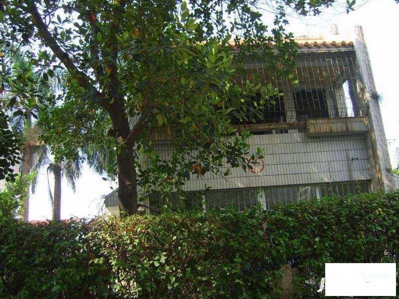 华侨新村(南山)实景图图片