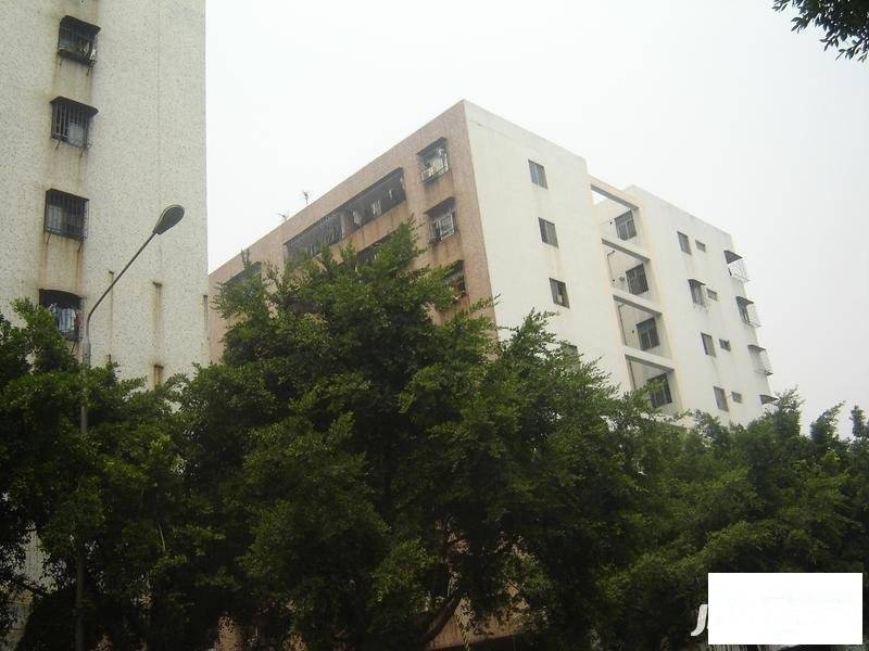 华安苑(宝安)实景图图片