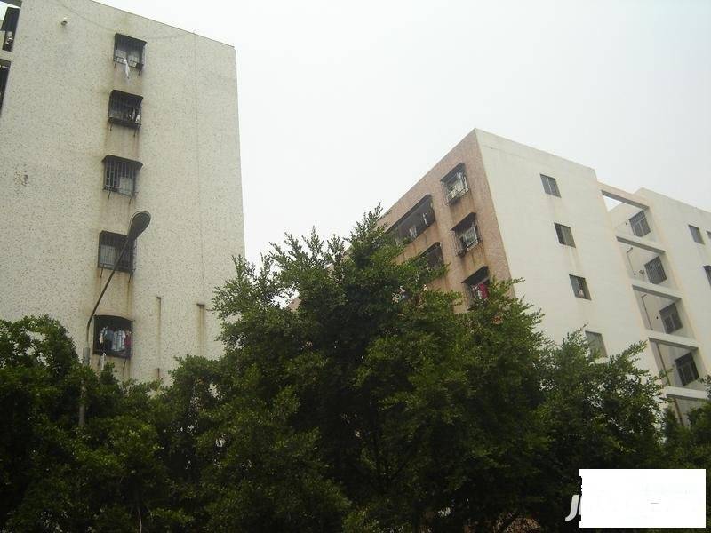 华安苑(宝安)实景图图片