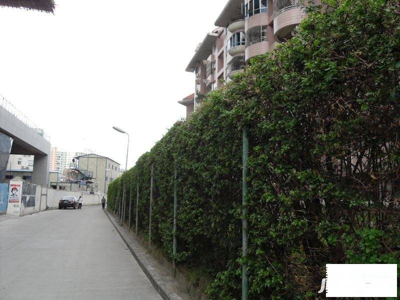 湾厦花园实景图图片