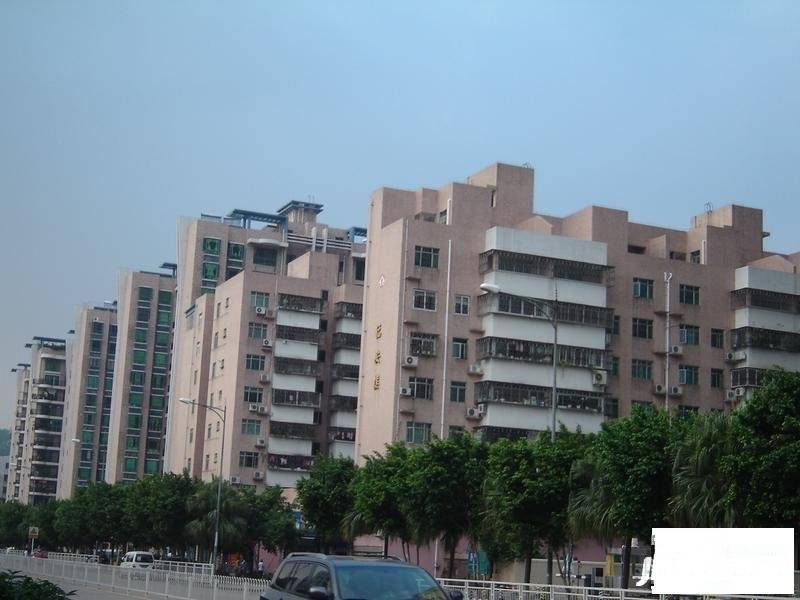 福安楼(宝安)实景图图片