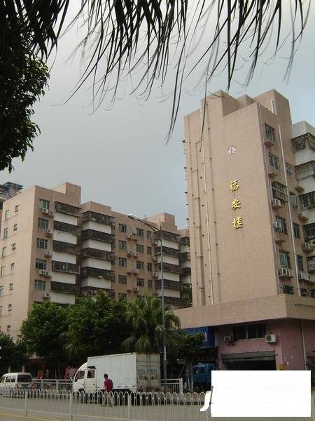 福安楼(宝安)实景图图片