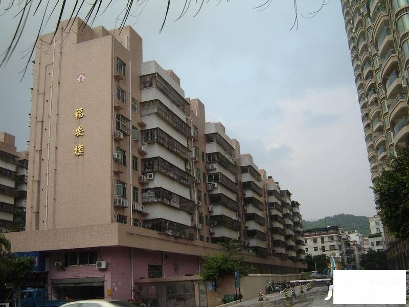 福安楼(宝安)实景图图片