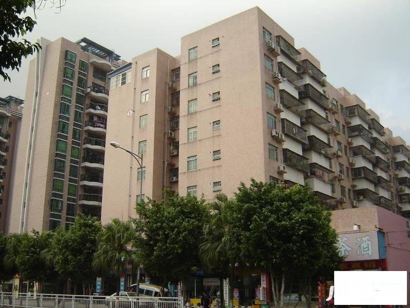 福安楼(宝安)实景图图片