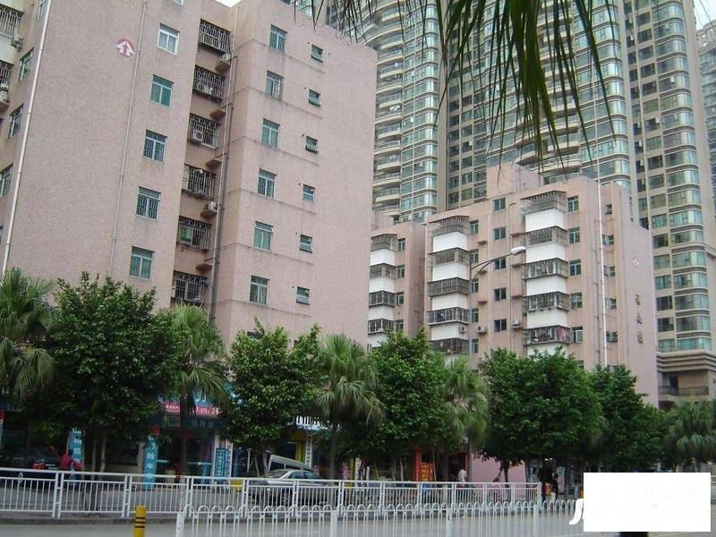 福安楼(宝安)实景图图片