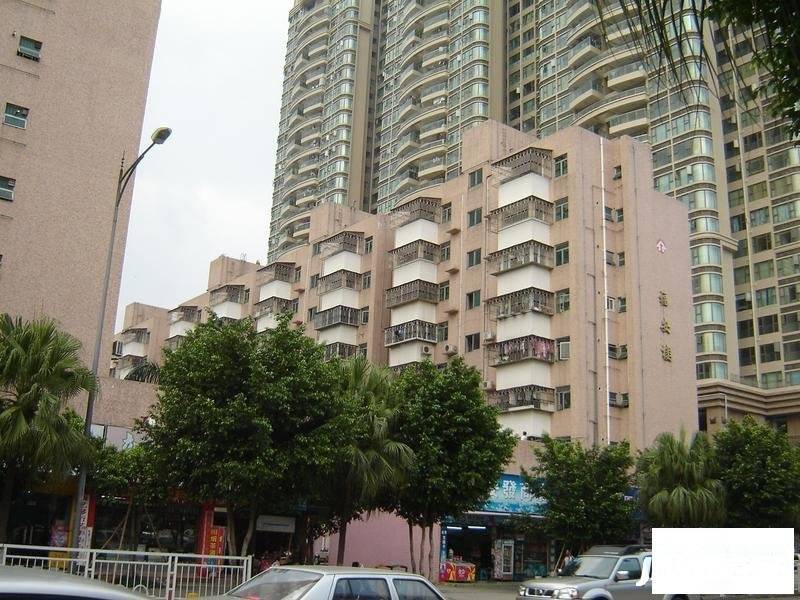 福安楼(宝安)实景图图片